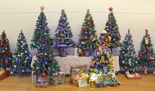 Rows of decorated Christmas trees and gifts in a shop