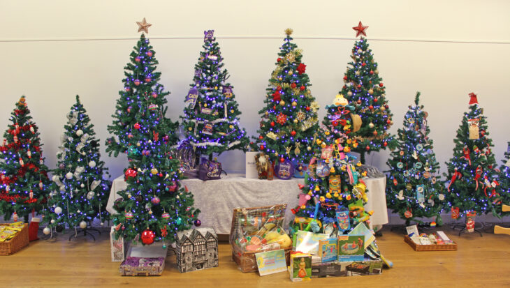 Rows of decorated Christmas trees and gifts in a shop